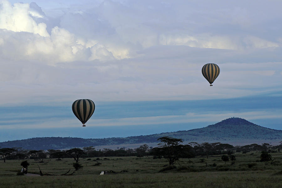Balloons above Serengeti. Photograph by Tony Murtagh