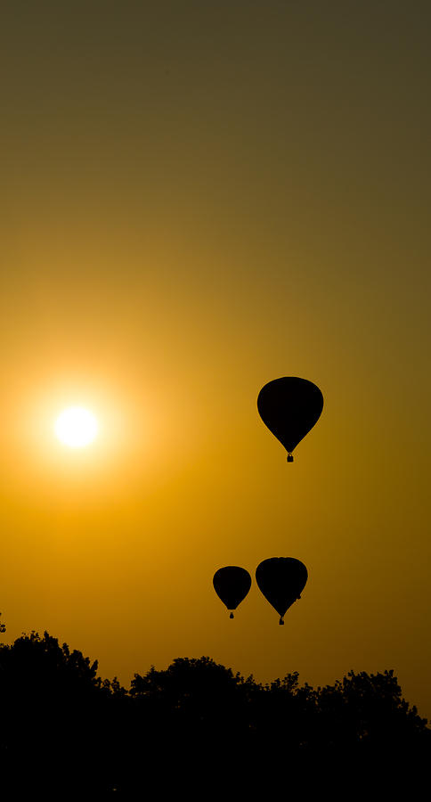 Balloons At Sunrise Photograph by David Downs