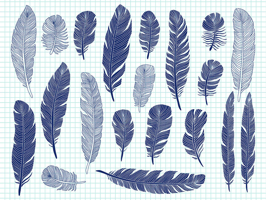 Ballpoint Pen Drawing Bird Feathers Big Digital Art by Microvone