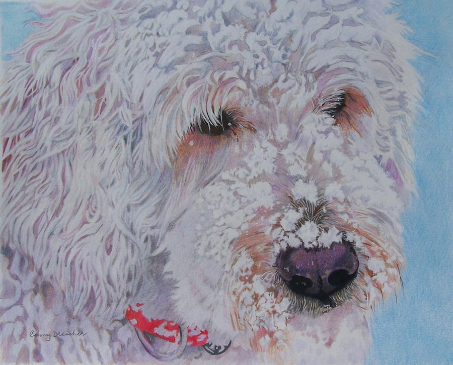 Winter Mixed Media - Bally in the Snow by Constance DRESCHER