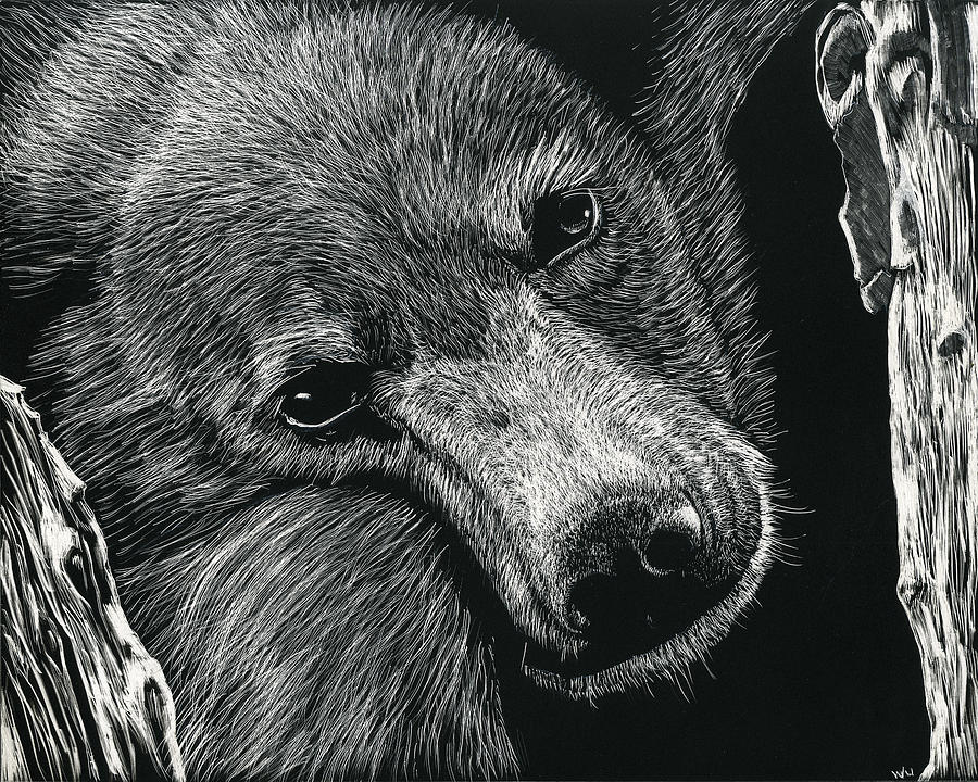 Baloo Drawing by William Underwood