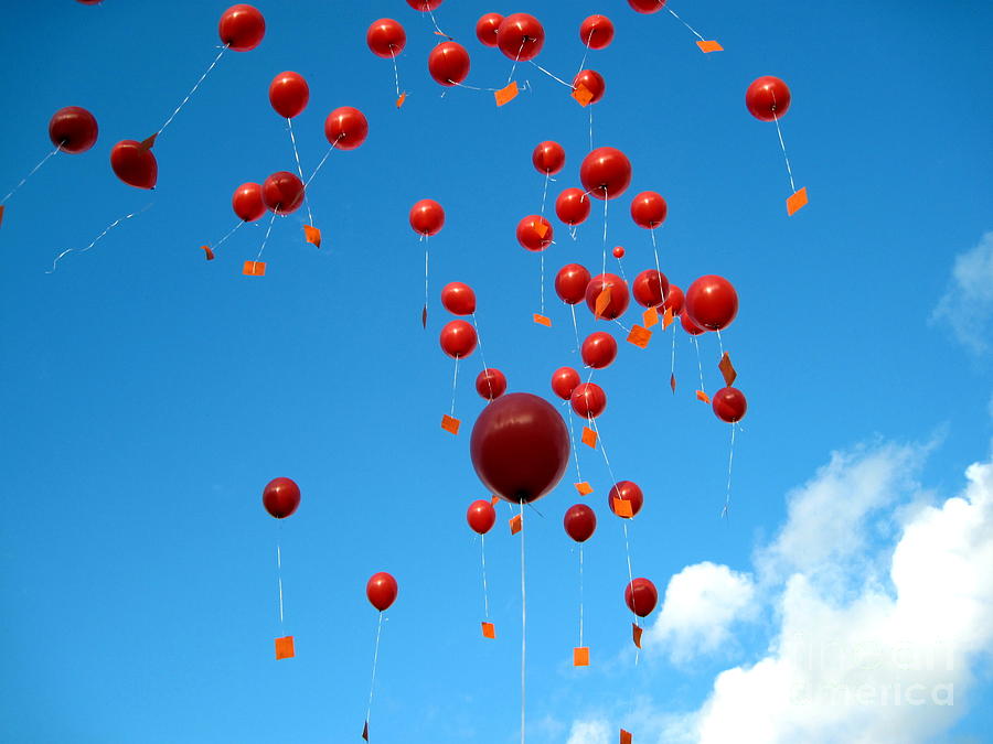 Balloons in the Air Photograph by Amanda Mohler
