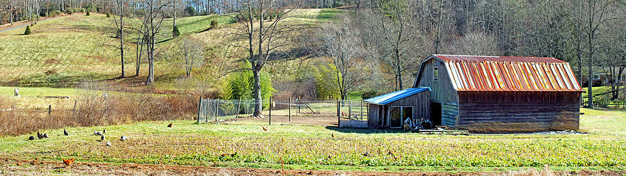 Balsam Grove Barn with Chickens Photograph by Duane McCullough