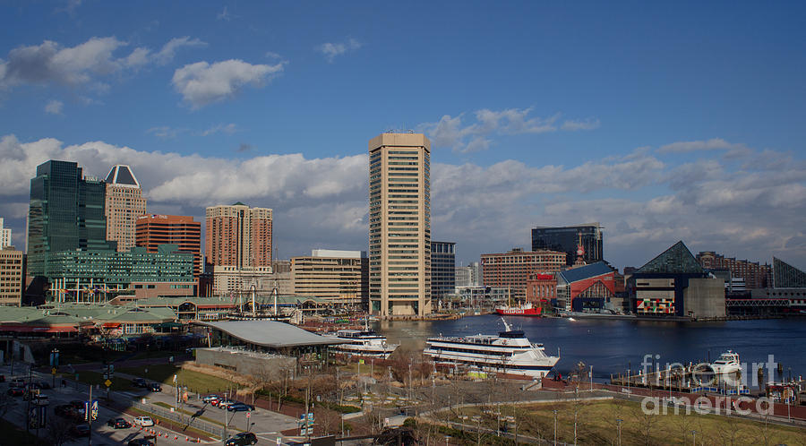 Baltimore Harbor Photograph by Arlene Carmel
