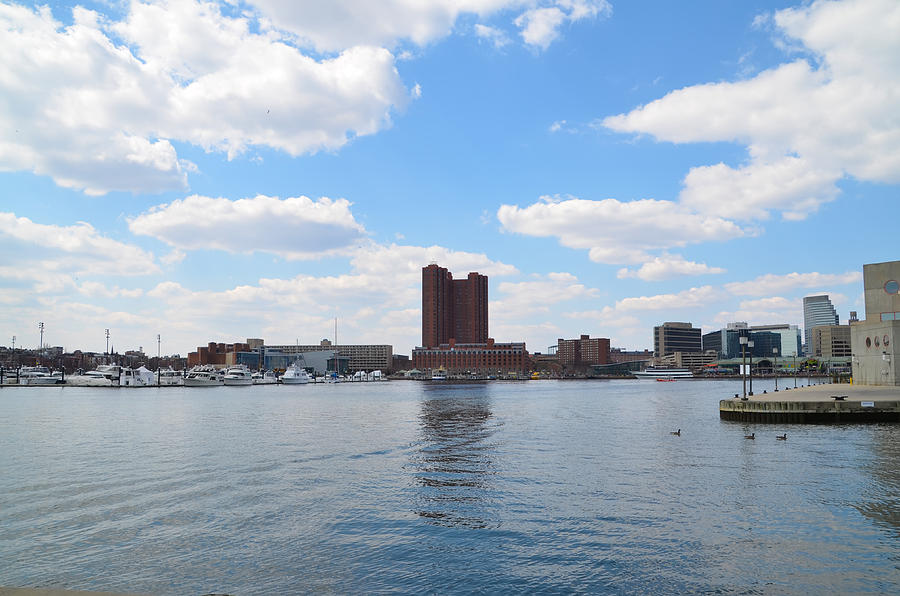 Baltimore Photograph - Baltimore Harbor by Bill Cannon