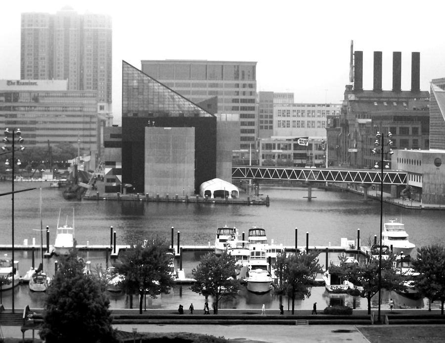 Spring Photograph - Baltimore Harbor West 2 by Alice Kay H