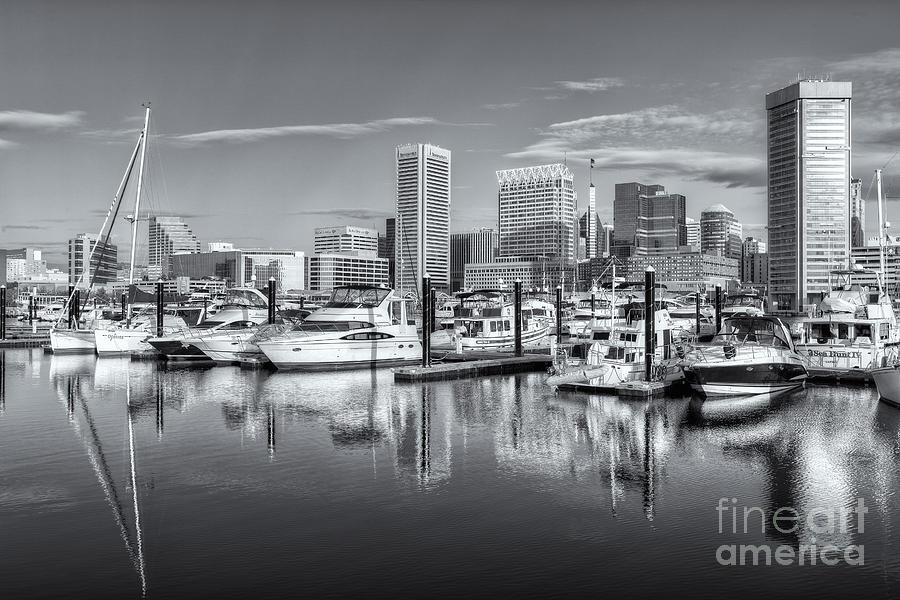Baltimore Photograph - Baltimore Inner Harbor Skyline V by Clarence Holmes