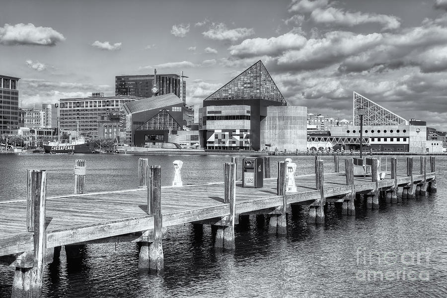 Baltimore Inner Harbor Skyline VI Photograph by Clarence Holmes