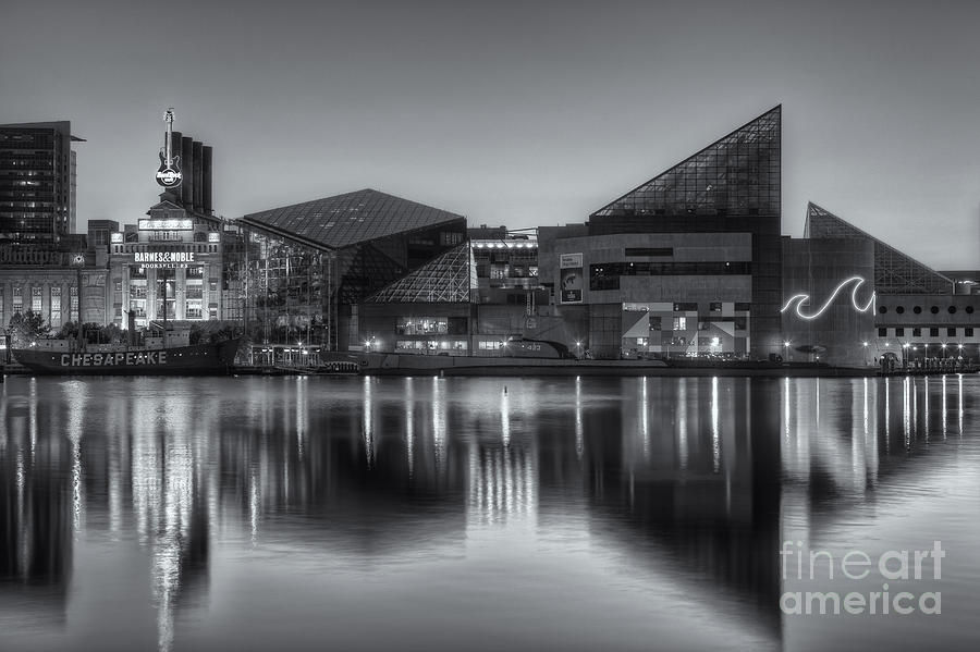 Baltimore National Aquarium at Dawn II Photograph by Clarence Holmes