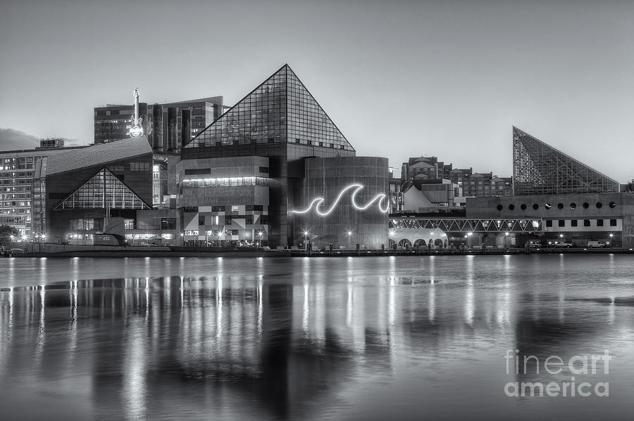 Baltimore National Aquarium at Dawn IV Photograph by Clarence Holmes