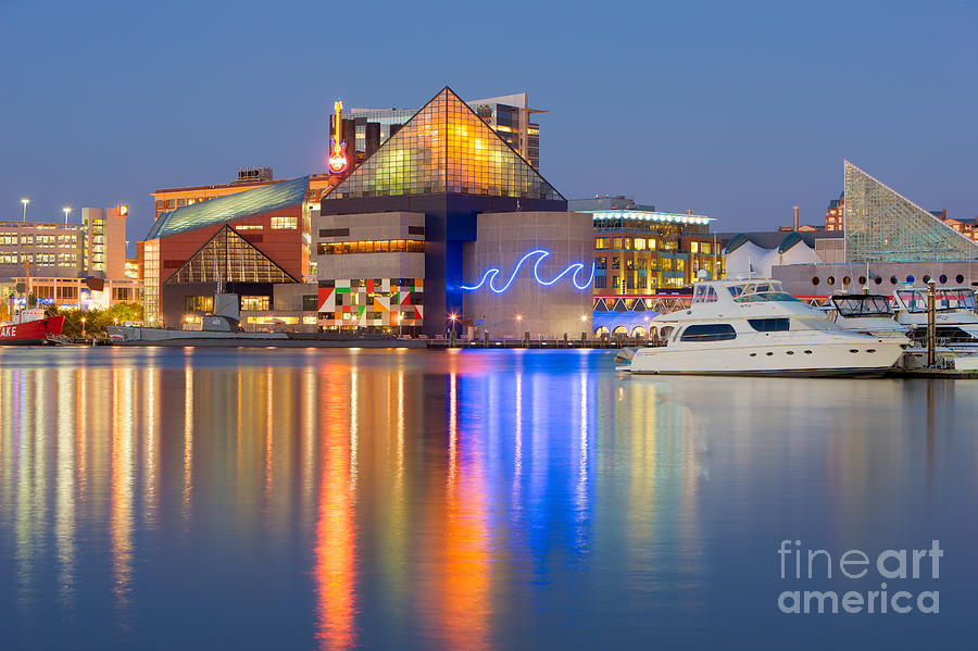 Baltimore National Aquarium at Twilight I Photograph by Clarence Holmes