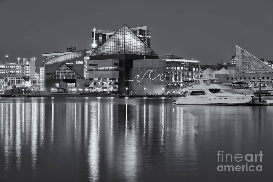 Baltimore National Aquarium at Twilight II Photograph by Clarence Holmes