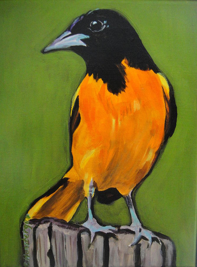 Baltimore Oriole Painting by Edith Hunsberger