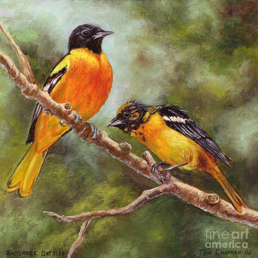 Baltimore Orioles Painting by Tom Chapman