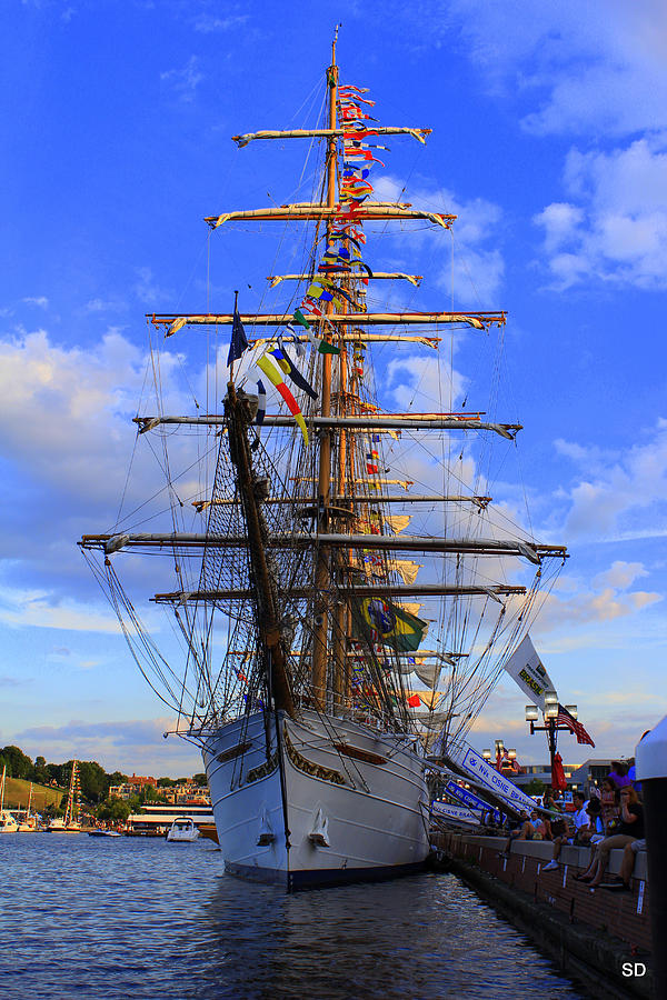 Baltimore Sail-A-Bration Photograph by Sarah Donald