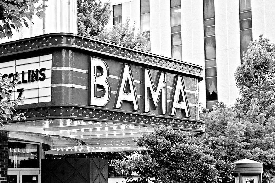 Bama - Bw Photograph by Scott Pellegrin
