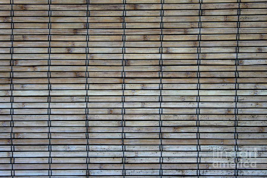Bambo Wall Photograph by Henrik Lehnerer