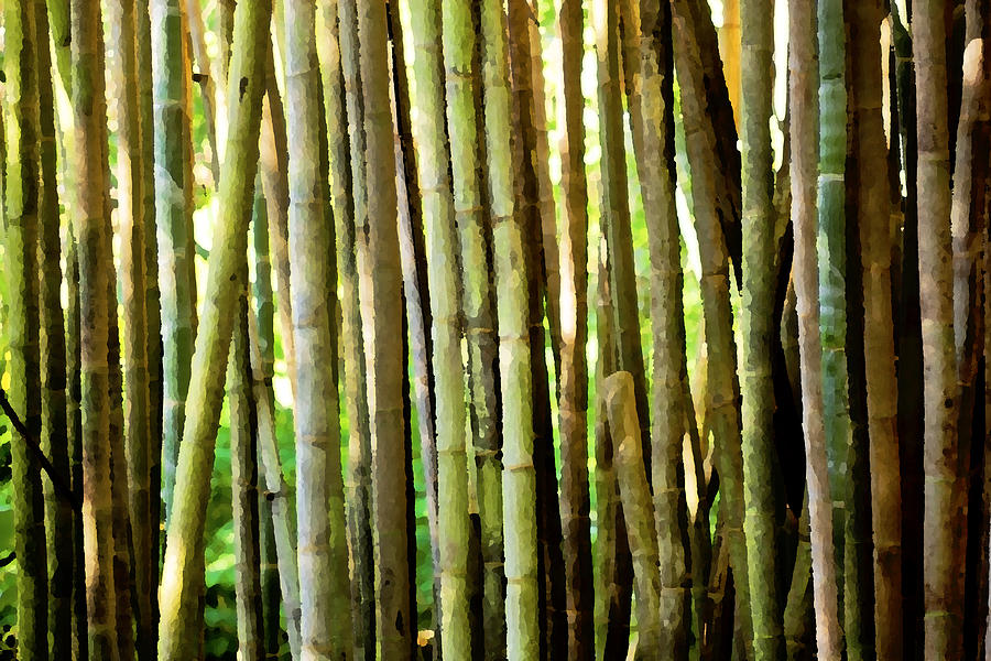 Bamboo Abstract X103 Photograph by Rich Franco