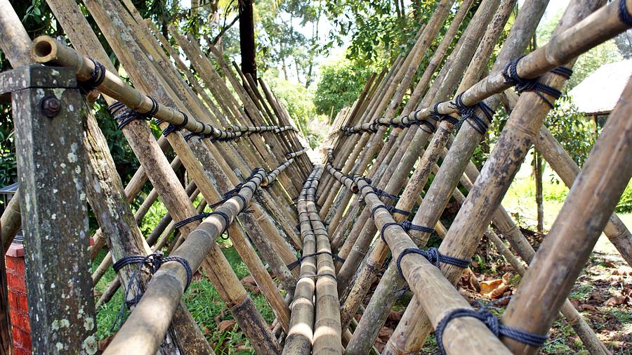 Unique Photograph - Bamboo Bridge by Ali Mohamad