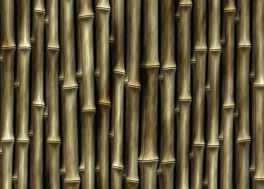 Bamboo Brown Digital Art by Kurt Van Wagner