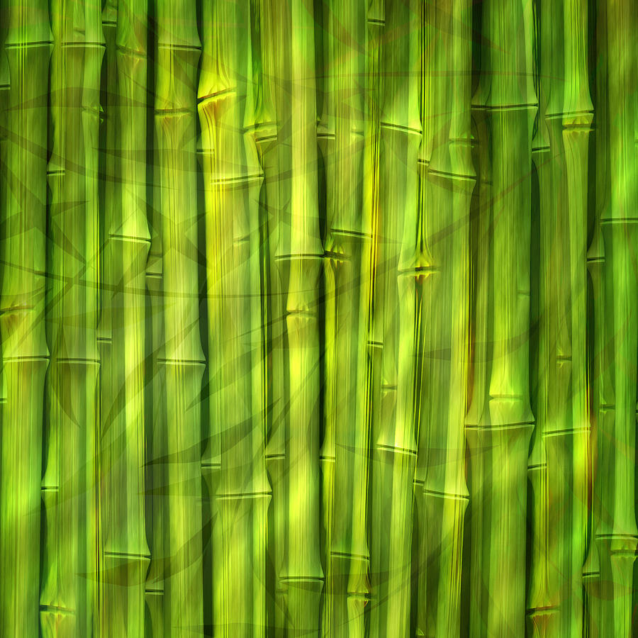 Bamboo Dream Digital Art by Lutz Baar