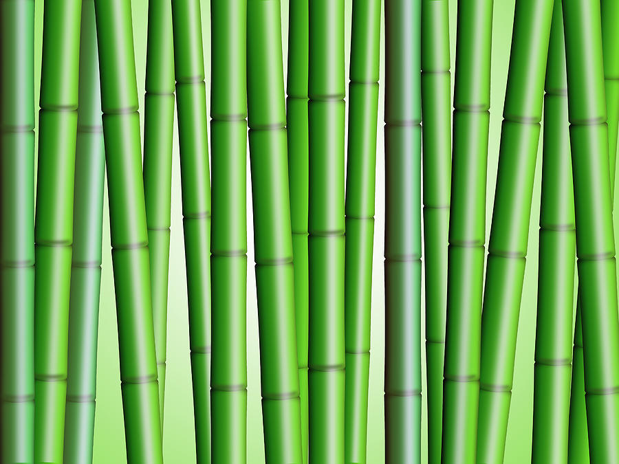 Bamboo Forest Background 2 Photograph by David Gn