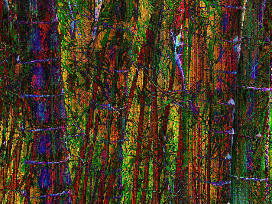 Bamboo Forest Mixed Media by Kiki Art