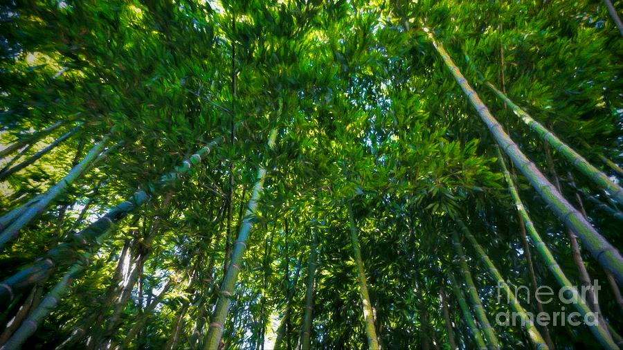Up Movie Photograph - Bamboo Forest by Peggy Hughes