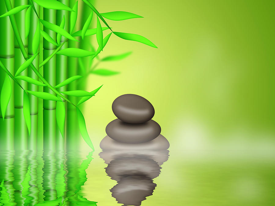 Bamboo Forest  with Zen Pebbles Background Photograph by David Gn