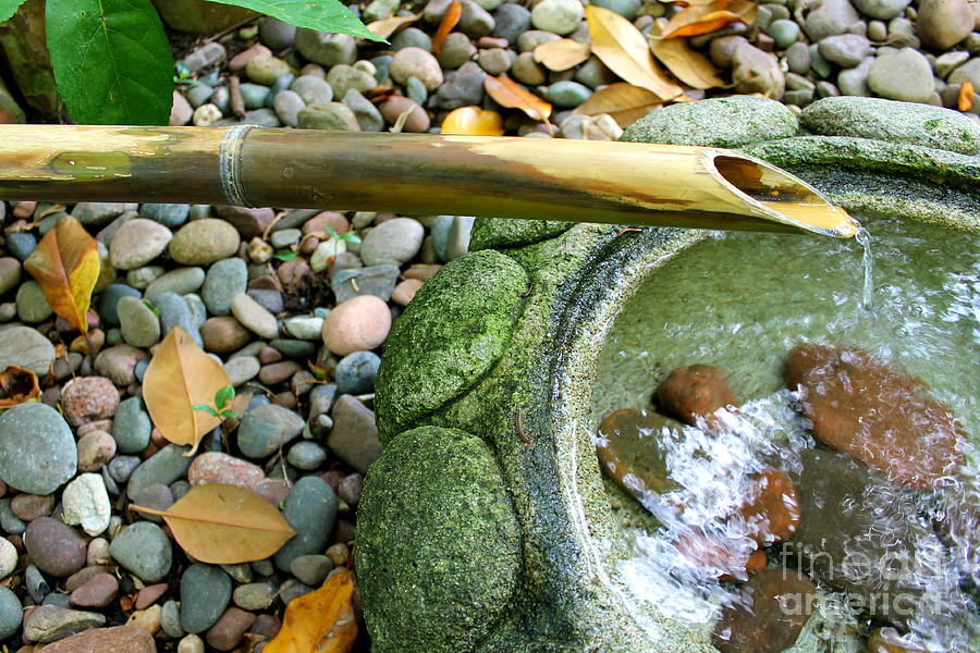 Bamboo Fountain by Michelle Wolff Bamboo Fountain by Michelle Wolff