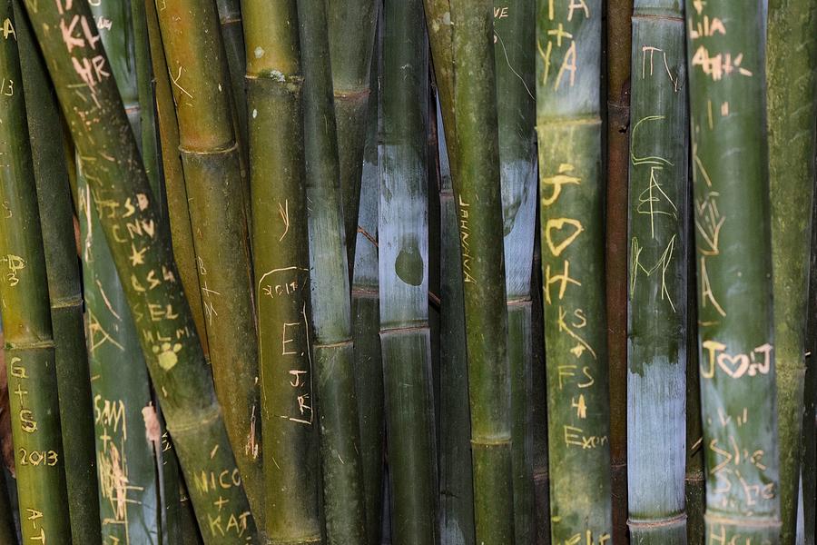 Graffiti Photograph - Bamboo Graffiti 1 by Sheri McLeroy
