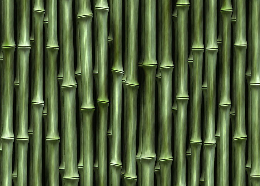 Bamboo Green Digital Art by Kurt Van Wagner
