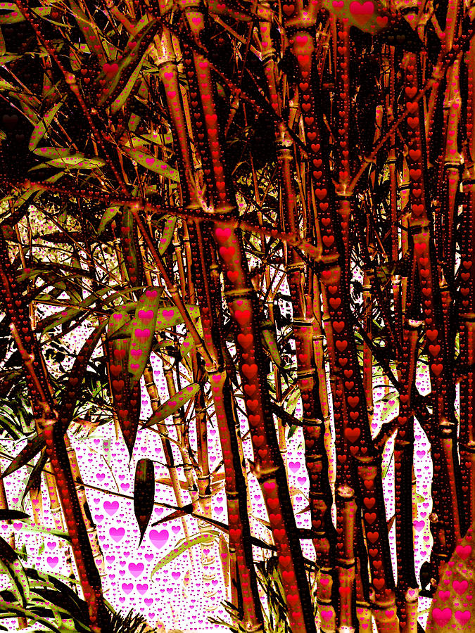 Bamboo Hearts Photograph by Bill Owen