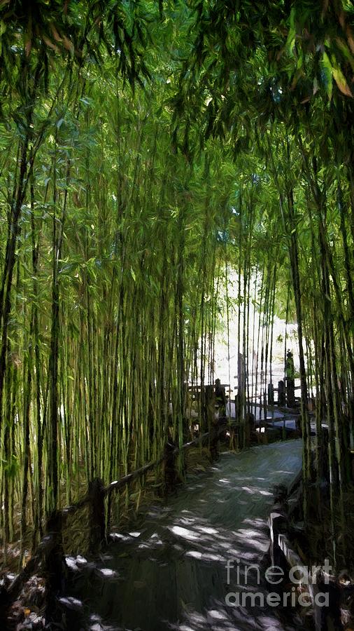 Bamboo Pathway Photograph by Peggy Hughes