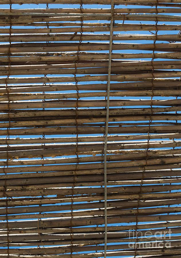Bamboo shade Photograph by Ingela Christina Rahm