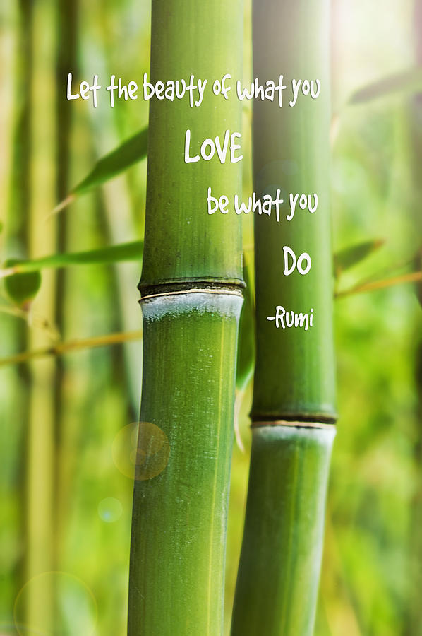 Rumi Quote Bamboo I Photograph by Marianne Campolongo