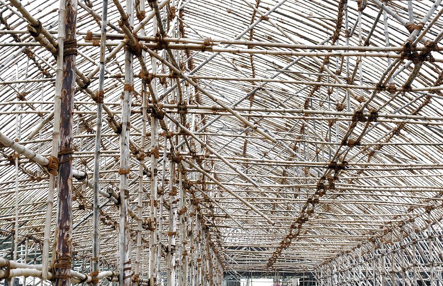 Bamboo structure 3 Photograph by Sumit Mehndiratta