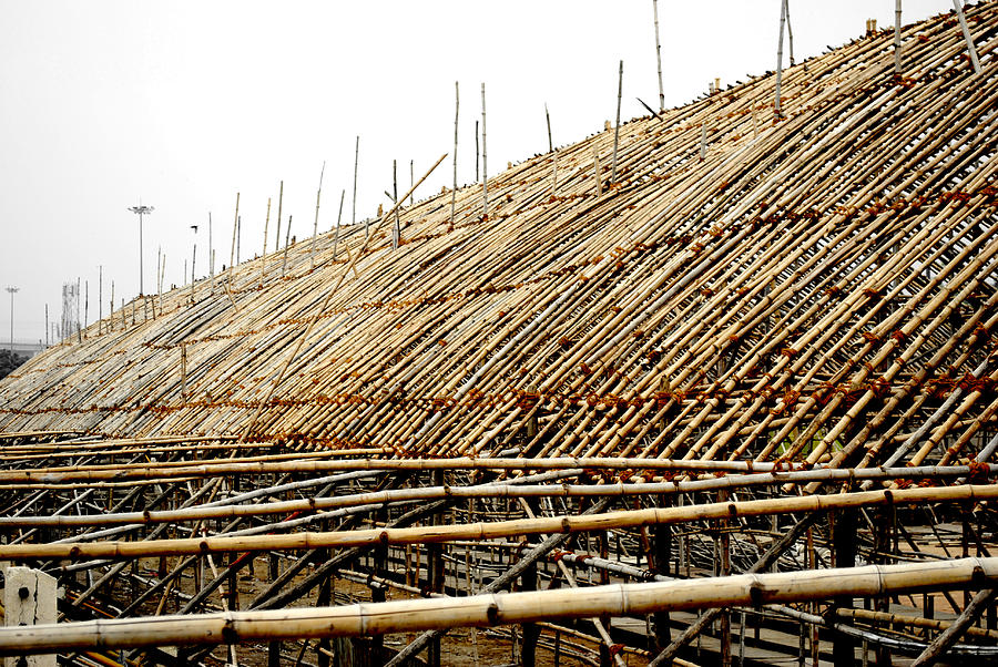 Bamboo structure 4  Photograph by Sumit Mehndiratta