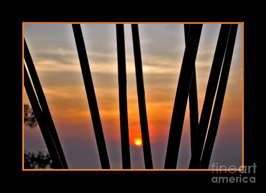 Sunset Photograph - Bamboo Sunset - Black Frame by Kaye Menner