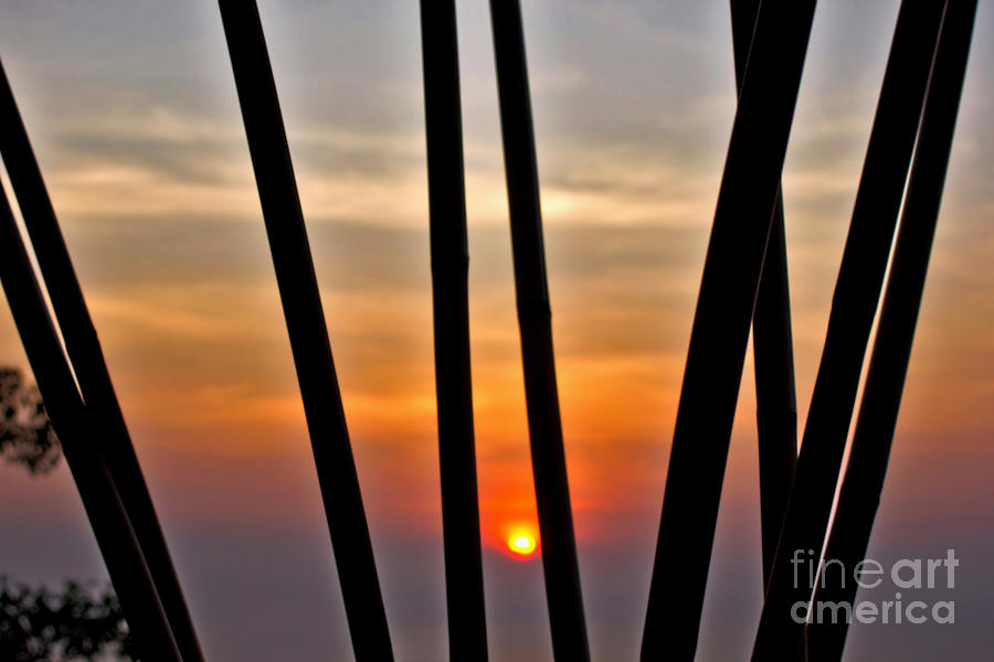 Sunset Photograph - Bamboo Sunset by Kaye Menner