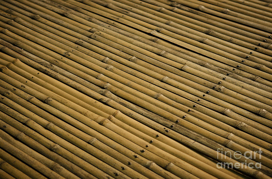 Bamboo Surface Detail Photograph by JM Travel Photography