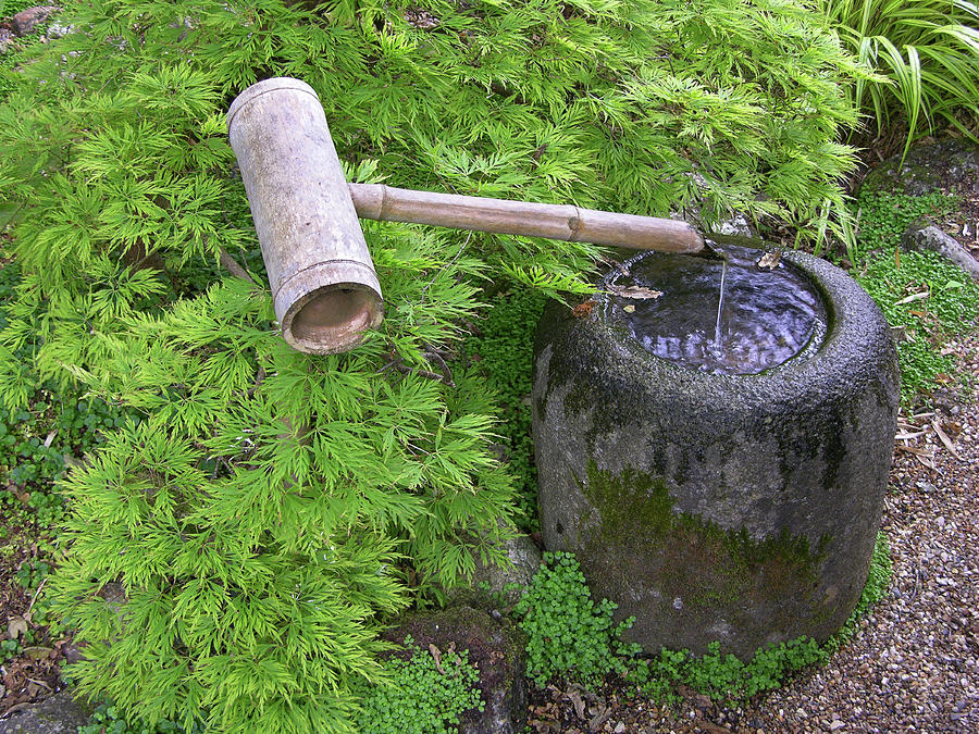 Bamboo Water Feature Photograph by Tony Craddock/science Photo Library