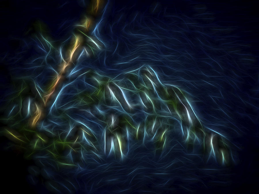 Bamboo Wind 2 Digital Art by William Horden