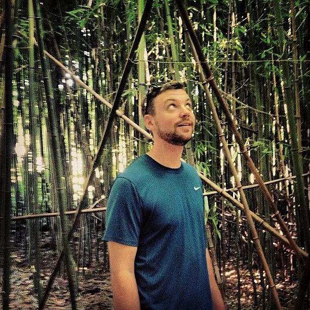 Nature Photograph - #bambooforest #triangles #myboyfriend by Megan Rudman