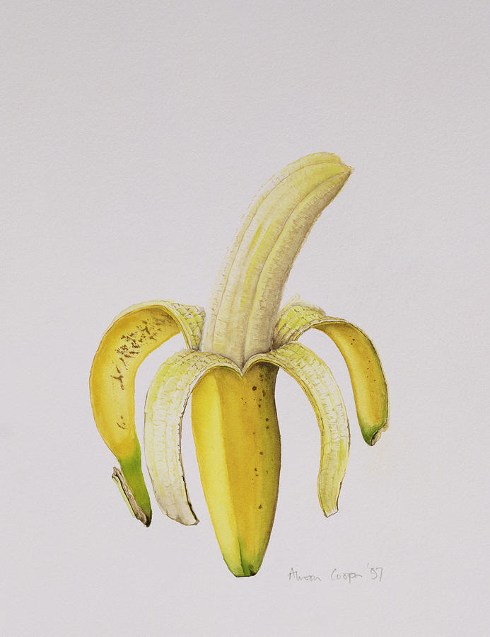 Banana Painting by Alison Cooper
