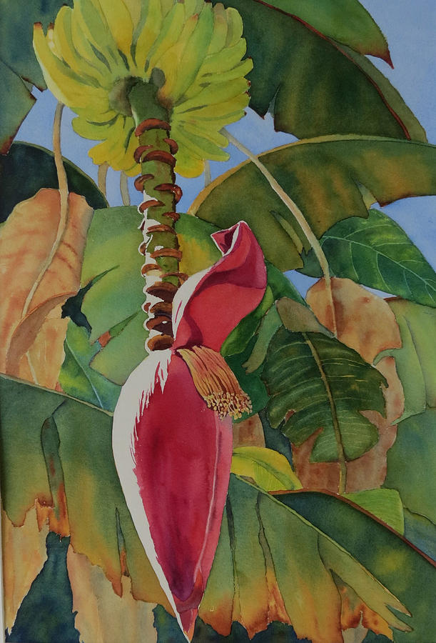 Banana Beginnings Painting by Judy Mercer