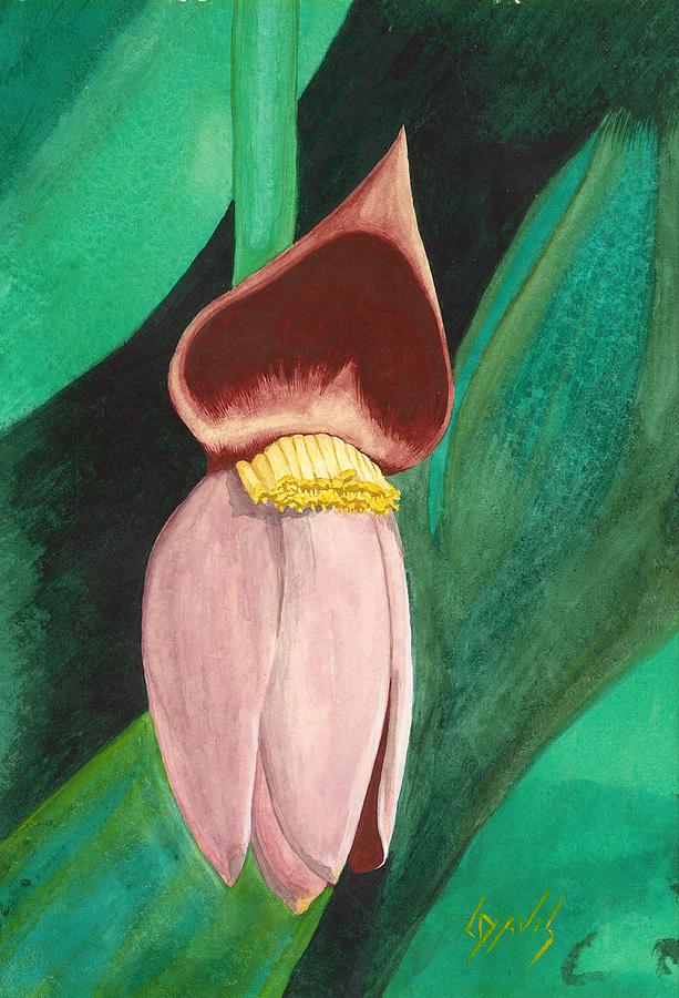 Banana Painting - Banana Blossom by Lew Davis