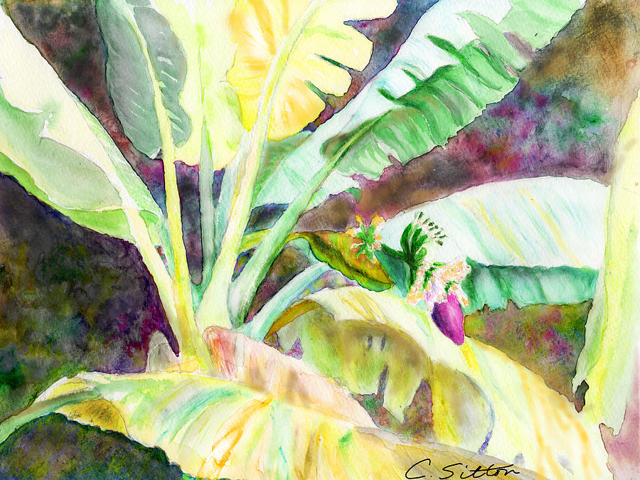 Banana Tree Painting by C Sitton