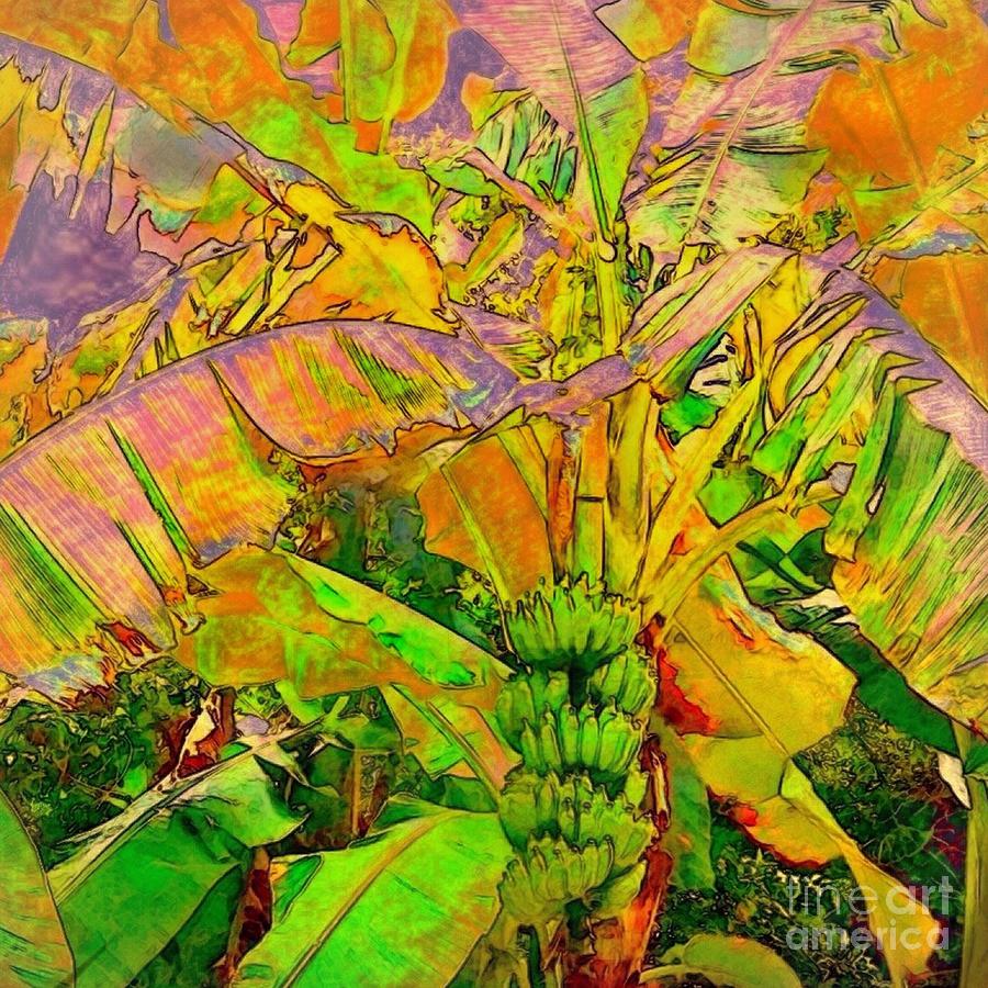 S Banana Tree with Bunch - Square Painting by Lyn Voytershark