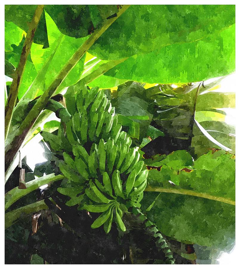 Banana Trees Painting by Jeelan Clark